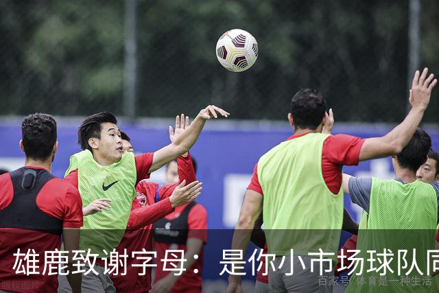 雄鹿致谢字母：是你小市场球队同样能傲视群雄 感谢你付出的一切
